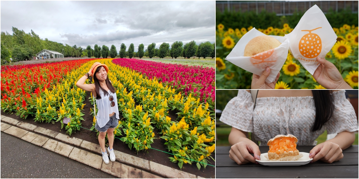 富良野富田農場，Tomita Melon House