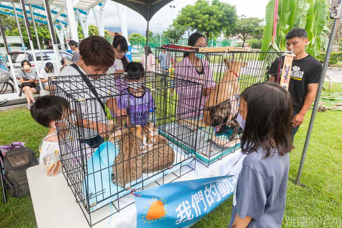 花蓮活動推薦「花蓮不排隊美食市集」氣氛超chill的美食市集，晚上還有露天電影，知名店家都在這，一次能買到