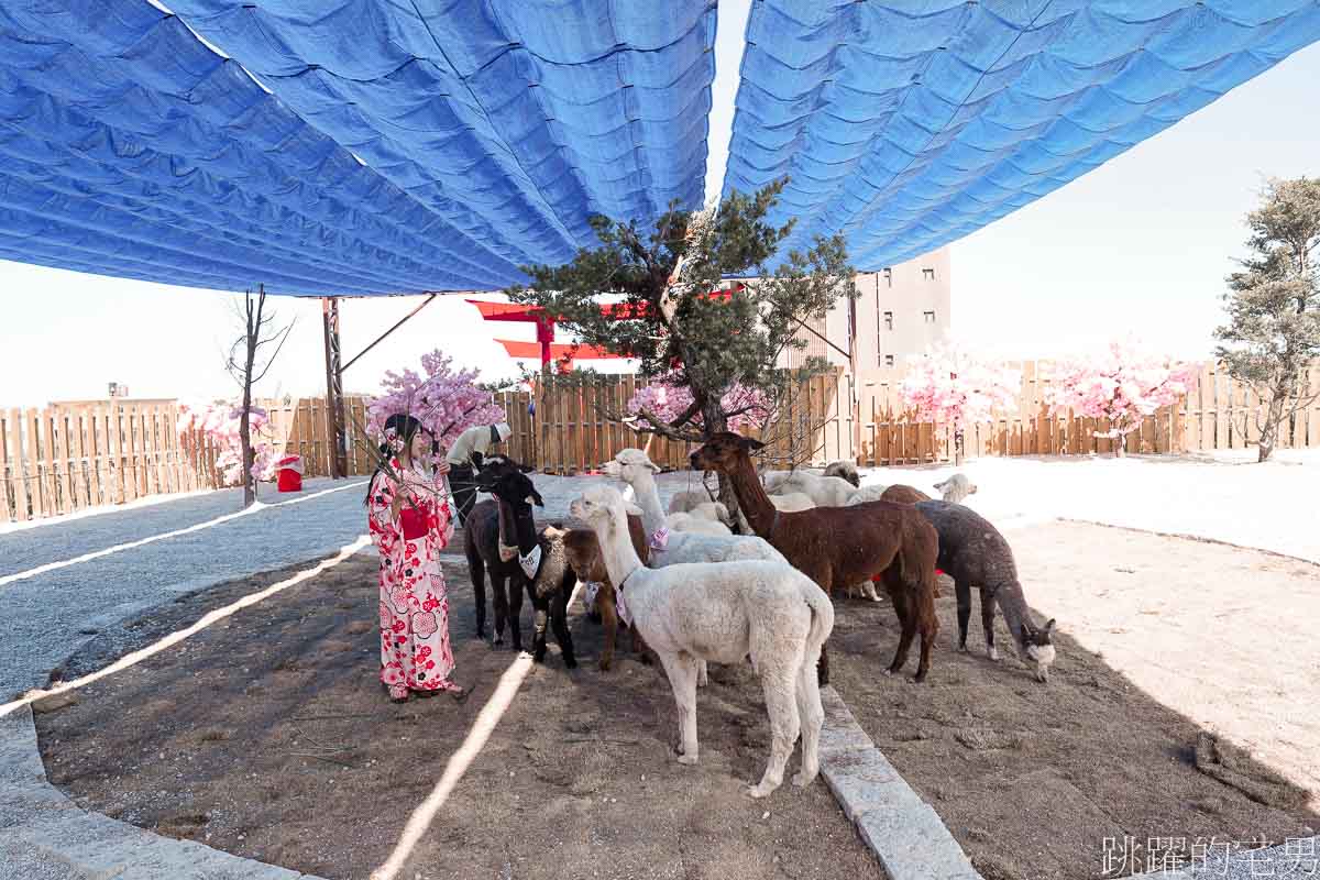 花蓮海邊景點推薦「月崖灣親子農場」絕美海景裝置藝術，免費和服租借拍照有夠美，草泥馬、笑笑羊、水豚超可愛! 壽豐景點