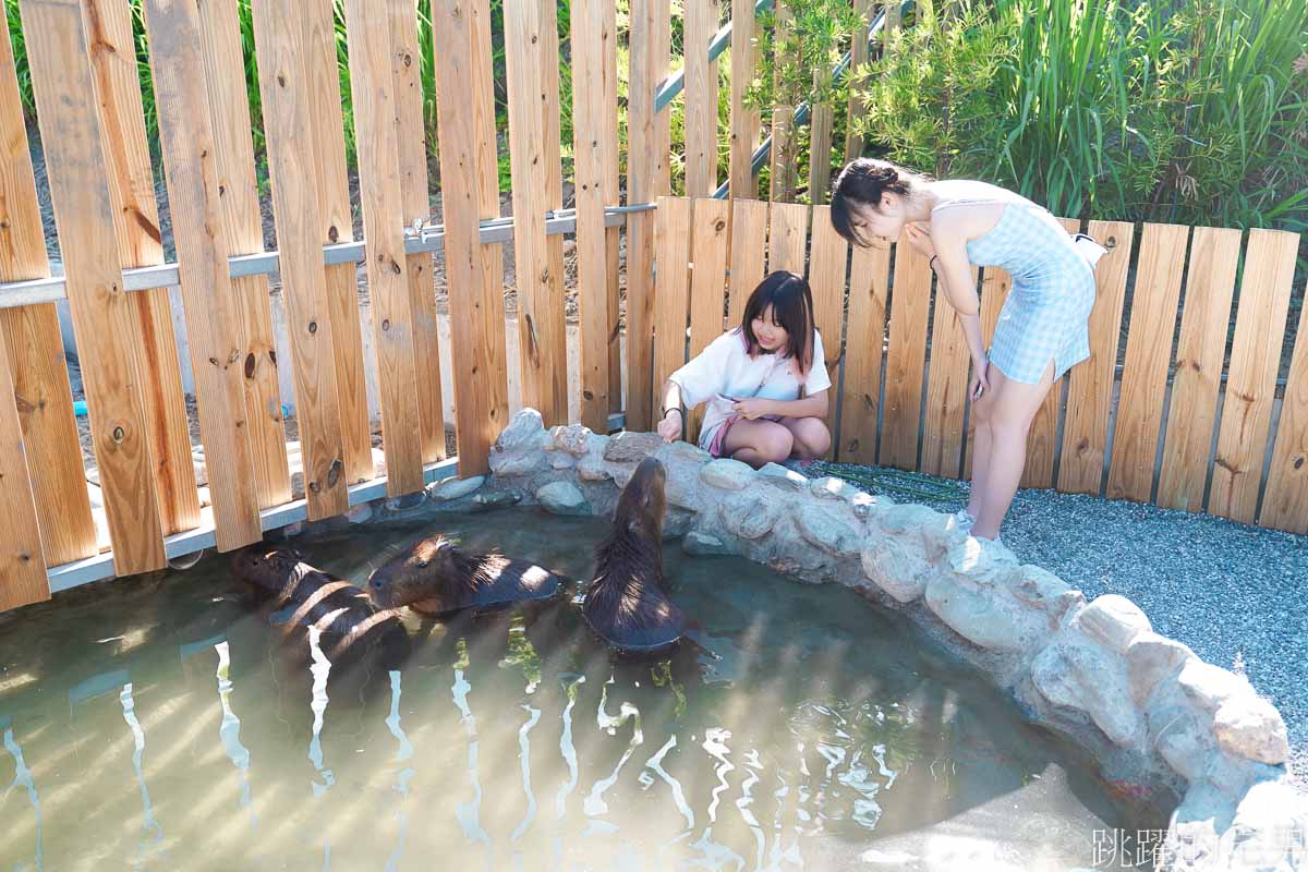 花蓮海邊景點推薦「月崖灣親子農場」絕美海景裝置藝術，免費和服租借拍照有夠美，草泥馬、笑笑羊、水豚超可愛! 壽豐景點