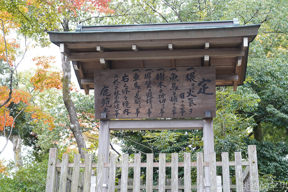 京都一日遊「金閣寺」鹿苑寺與清水寺、伏見稻荷大社，京都三大必去景點