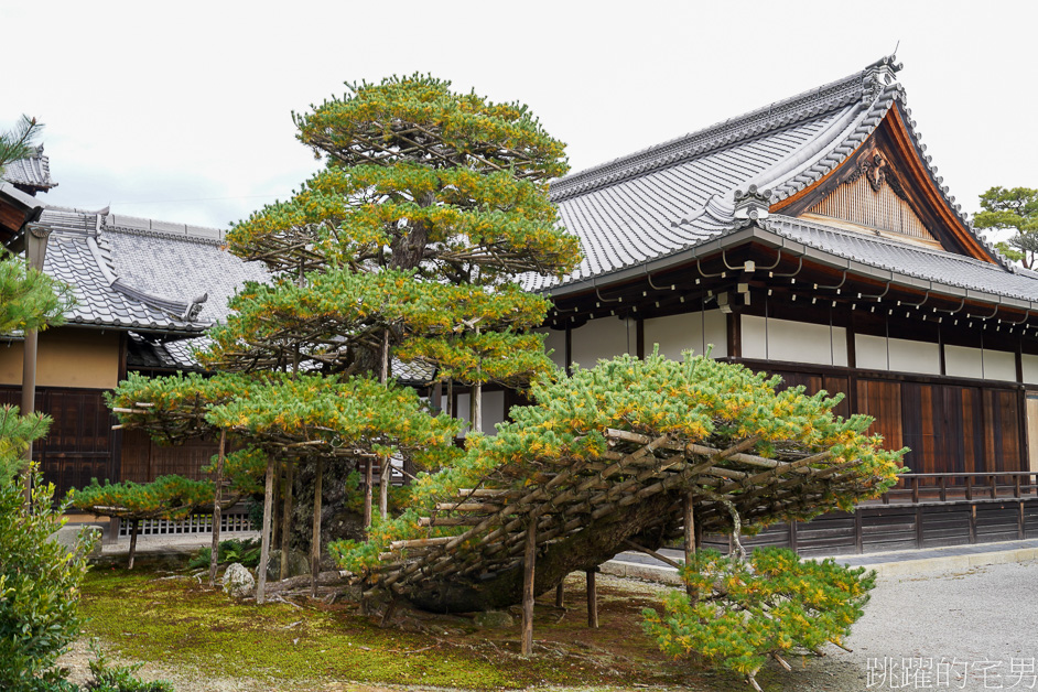 京都一日遊「金閣寺」鹿苑寺與清水寺、伏見稻荷大社，京都三大必去景點