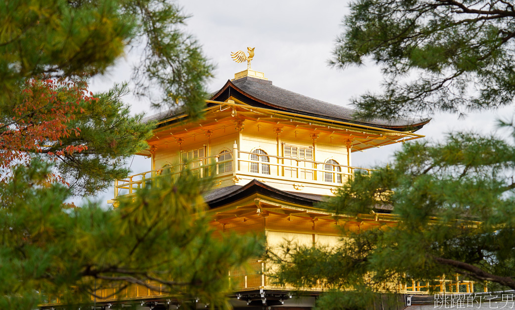 京都一日遊「金閣寺」鹿苑寺與清水寺、伏見稻荷大社，京都三大必去景點