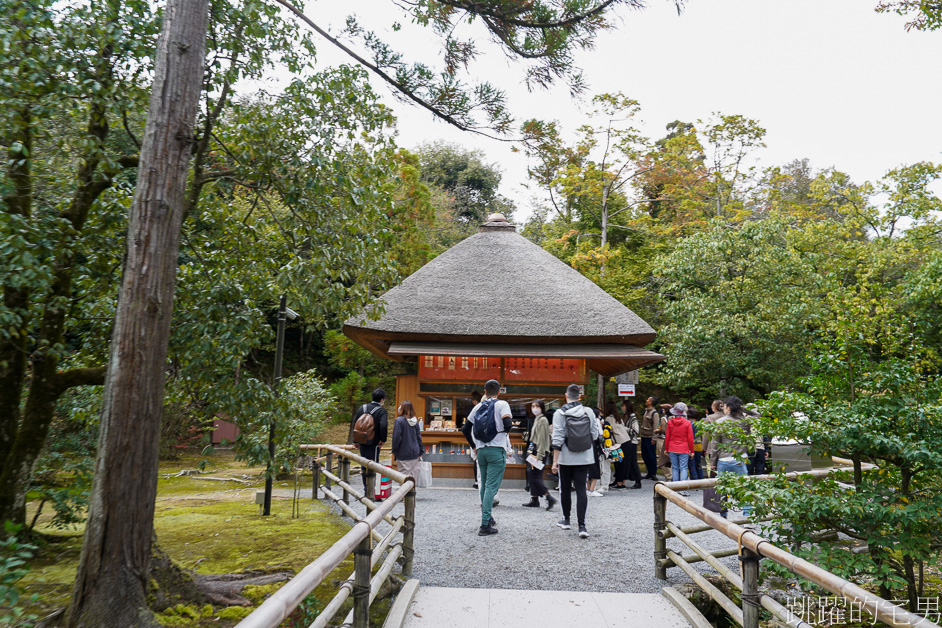 京都一日遊「金閣寺」鹿苑寺與清水寺、伏見稻荷大社，京都三大必去景點