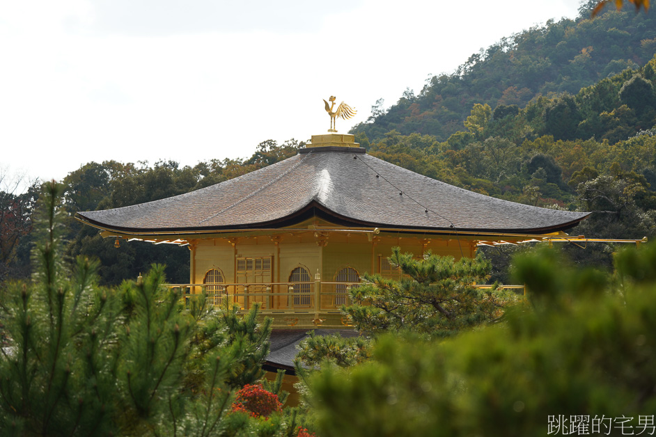 京都一日遊「金閣寺」鹿苑寺與清水寺、伏見稻荷大社，京都三大必去景點