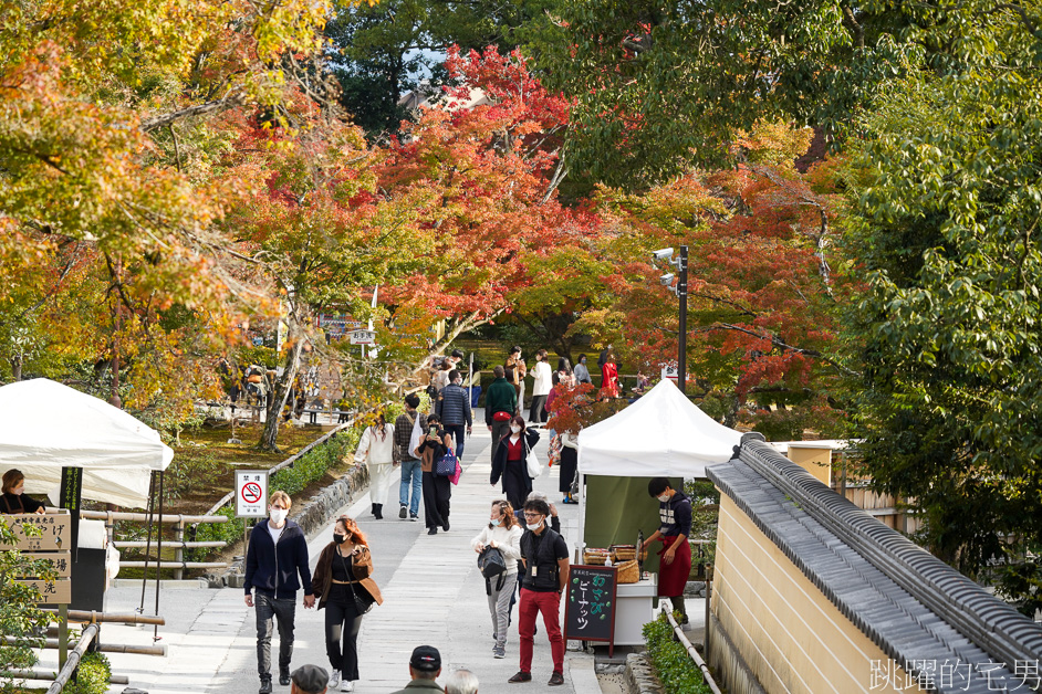 京都一日遊「金閣寺」鹿苑寺與清水寺、伏見稻荷大社，京都三大必去景點