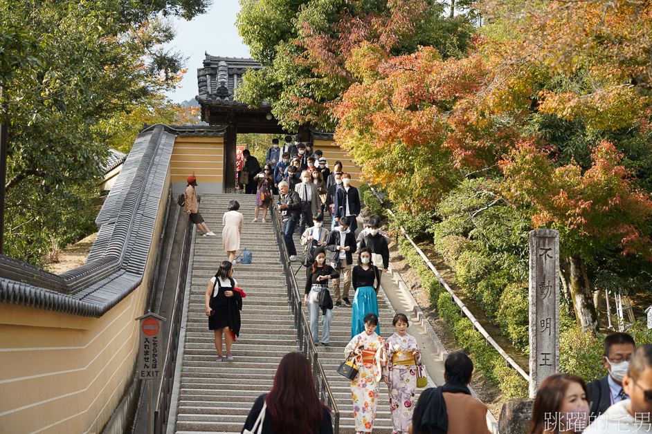 京都一日遊「金閣寺」鹿苑寺與清水寺、伏見稻荷大社，京都三大必去景點