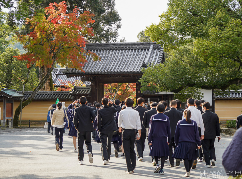 京都一日遊「金閣寺」鹿苑寺與清水寺、伏見稻荷大社，京都三大必去景點