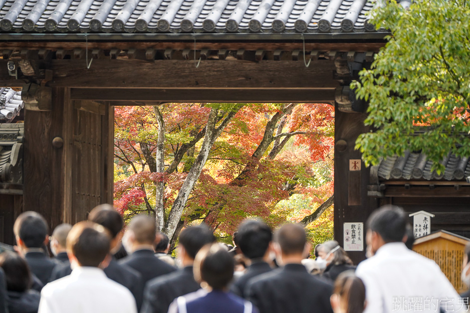 京都一日遊「金閣寺」鹿苑寺與清水寺、伏見稻荷大社，京都三大必去景點