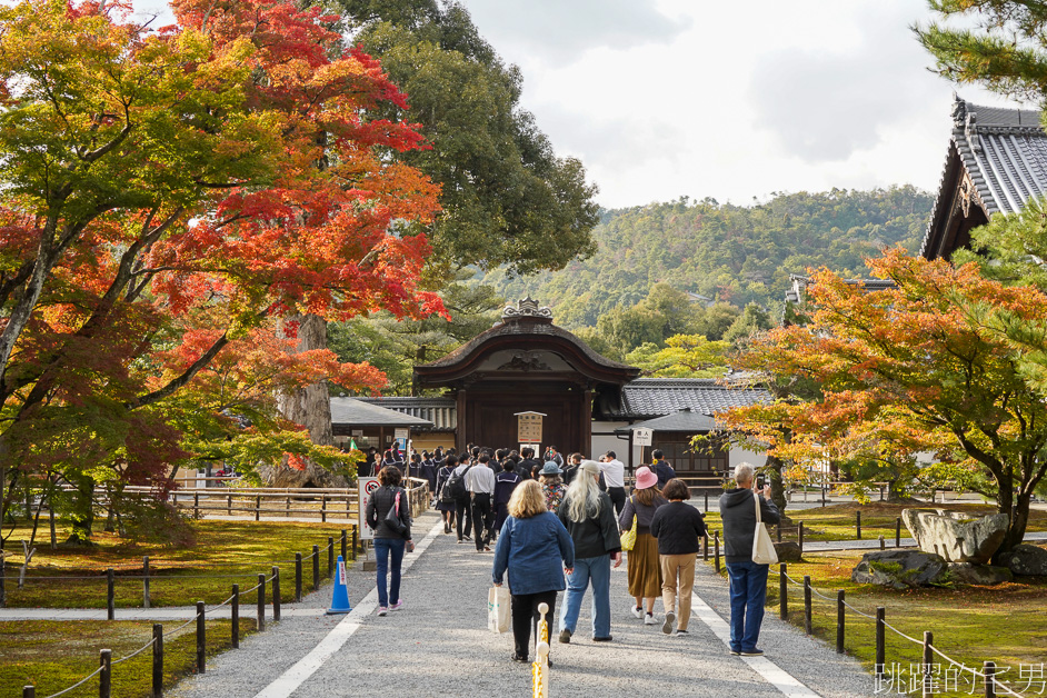 京都一日遊「金閣寺」鹿苑寺與清水寺、伏見稻荷大社，京都三大必去景點