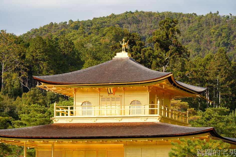 京都一日遊「金閣寺」鹿苑寺與清水寺、伏見稻荷大社，京都三大必去景點