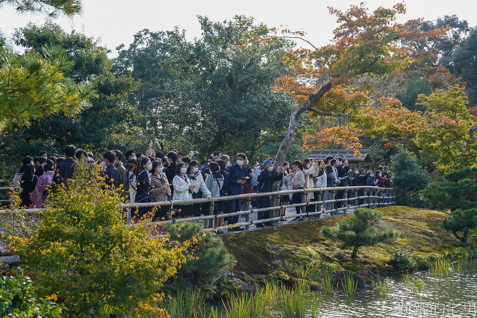 京都一日遊「金閣寺」鹿苑寺與清水寺、伏見稻荷大社，京都三大必去景點