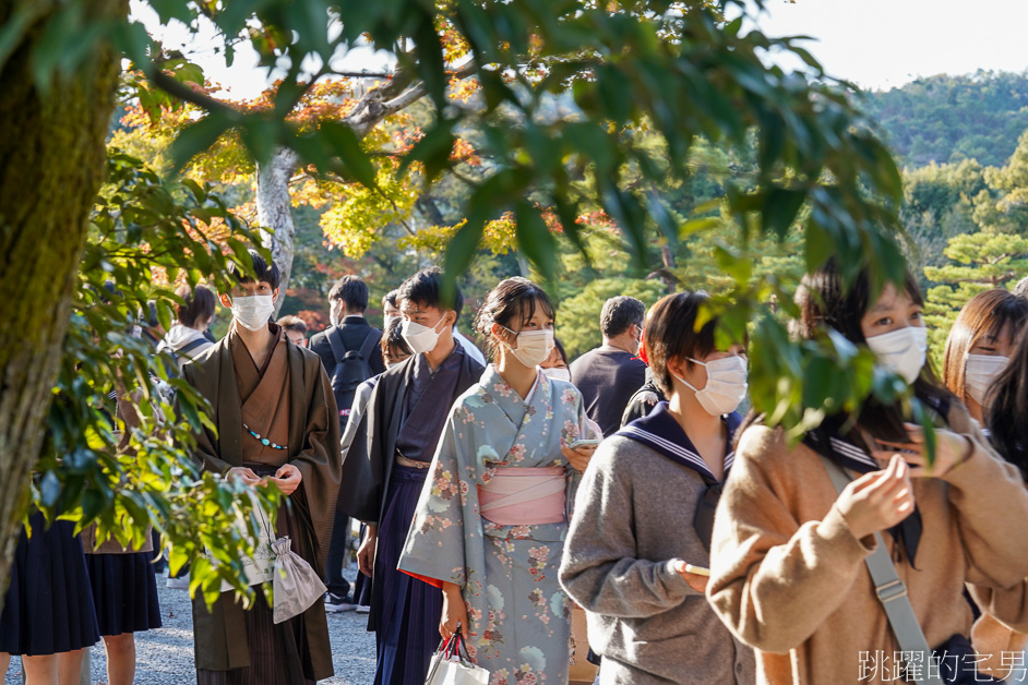 京都一日遊「金閣寺」鹿苑寺與清水寺、伏見稻荷大社，京都三大必去景點