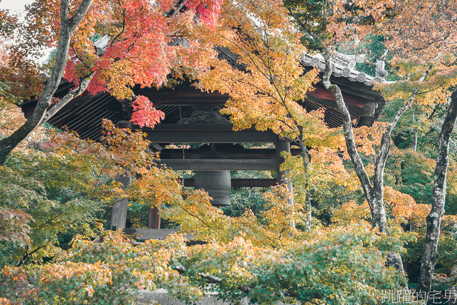 京都一日遊「金閣寺」鹿苑寺與清水寺、伏見稻荷大社，京都三大必去景點