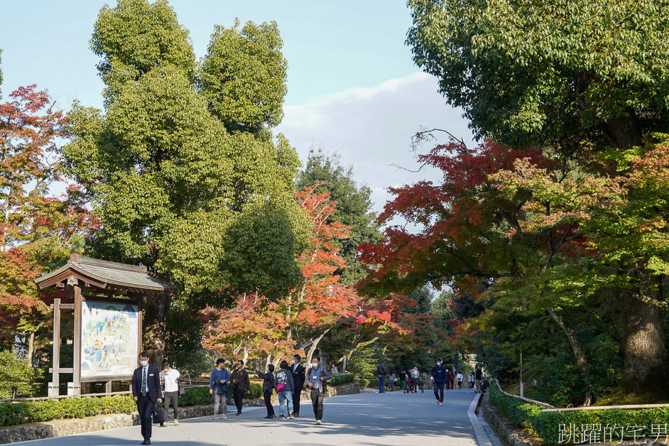 京都一日遊「金閣寺」鹿苑寺與清水寺、伏見稻荷大社，京都三大必去景點