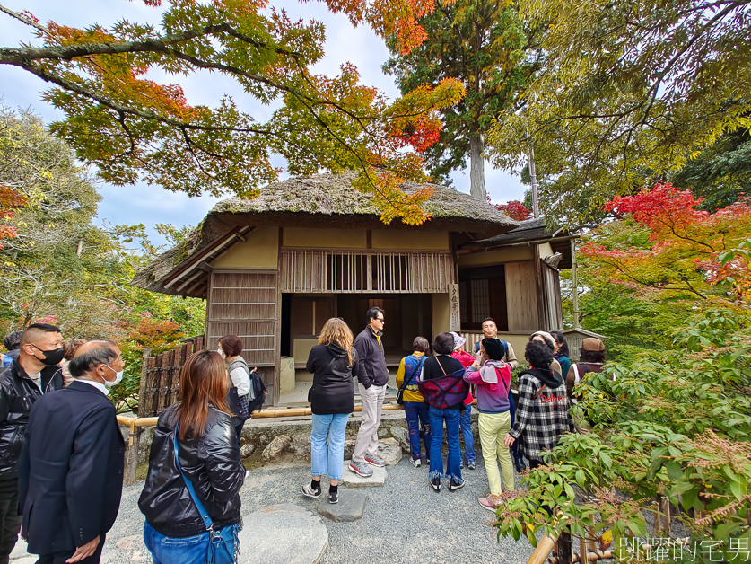 京都一日遊「金閣寺」鹿苑寺與清水寺、伏見稻荷大社，京都三大必去景點