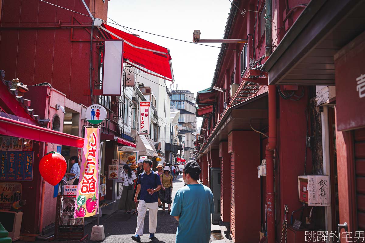 東京必去景點「淺草寺」全世界觀光客都在這，但是沒去過就是沒去過，增長見聞才是旅行的目的，淺草文化觀光中心高處俯瞰金龍山淺草寺全景