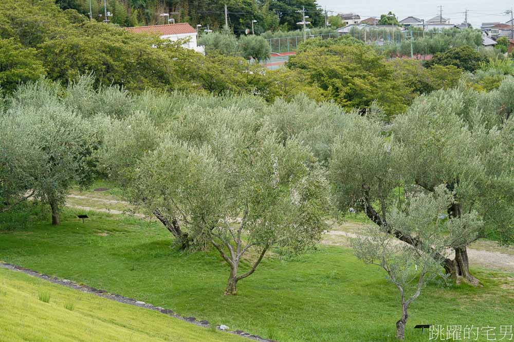 四國香川景點「小豆島一日遊」日本三大溪谷 寒霞溪，二十四瞳電影村、 魔女宅急便真人版拍攝地，桃園機場直飛高松機場