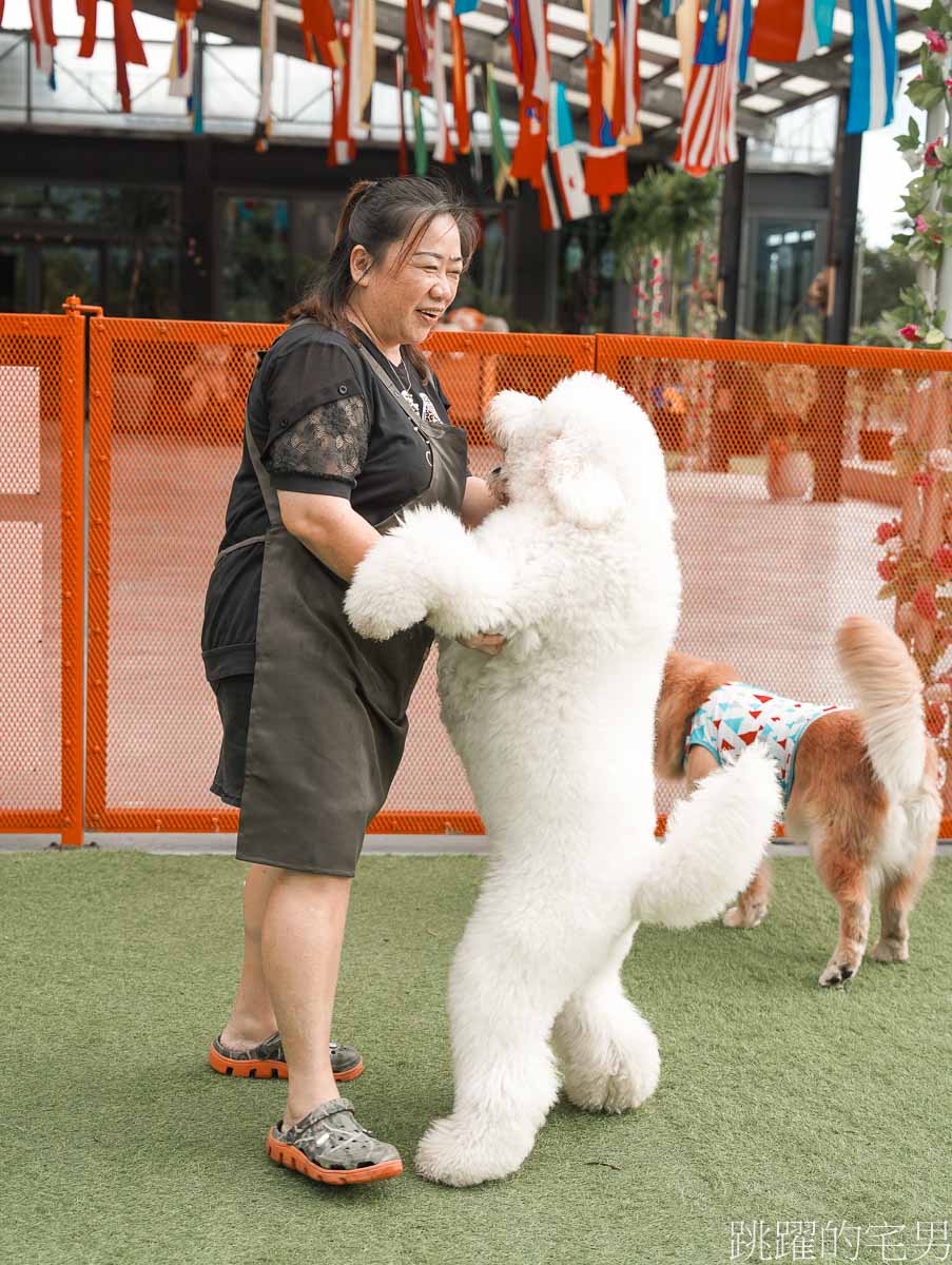 花蓮寵物餐廳 「汪woof cofe」超大空間，還可以跟狗狗互動玩樂，提供義大利麵、甜點，咖啡，汪寵物餐廳還有狗狗鮮食