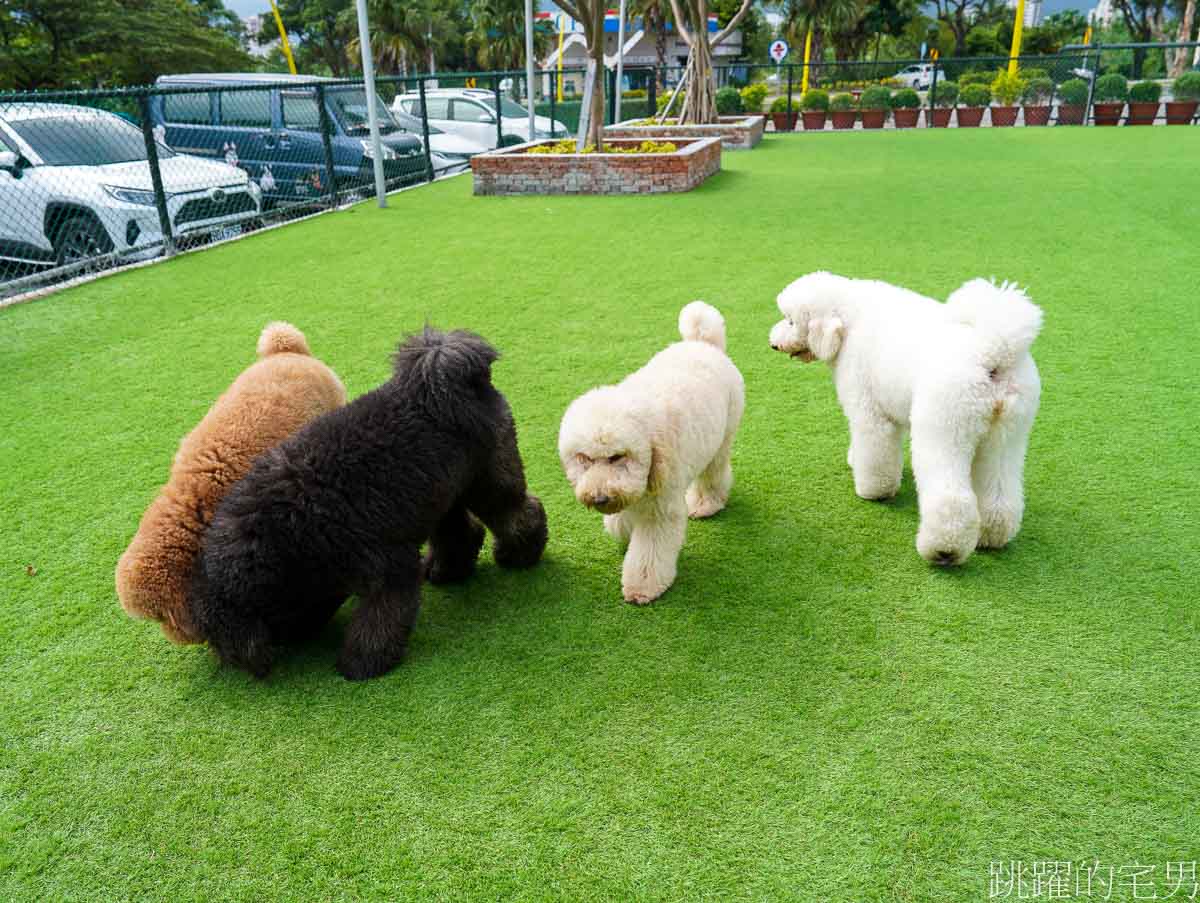 花蓮寵物餐廳 「汪woof cofe」超大空間，還可以跟狗狗互動玩樂，提供義大利麵、甜點，咖啡，汪寵物餐廳還有狗狗鮮食