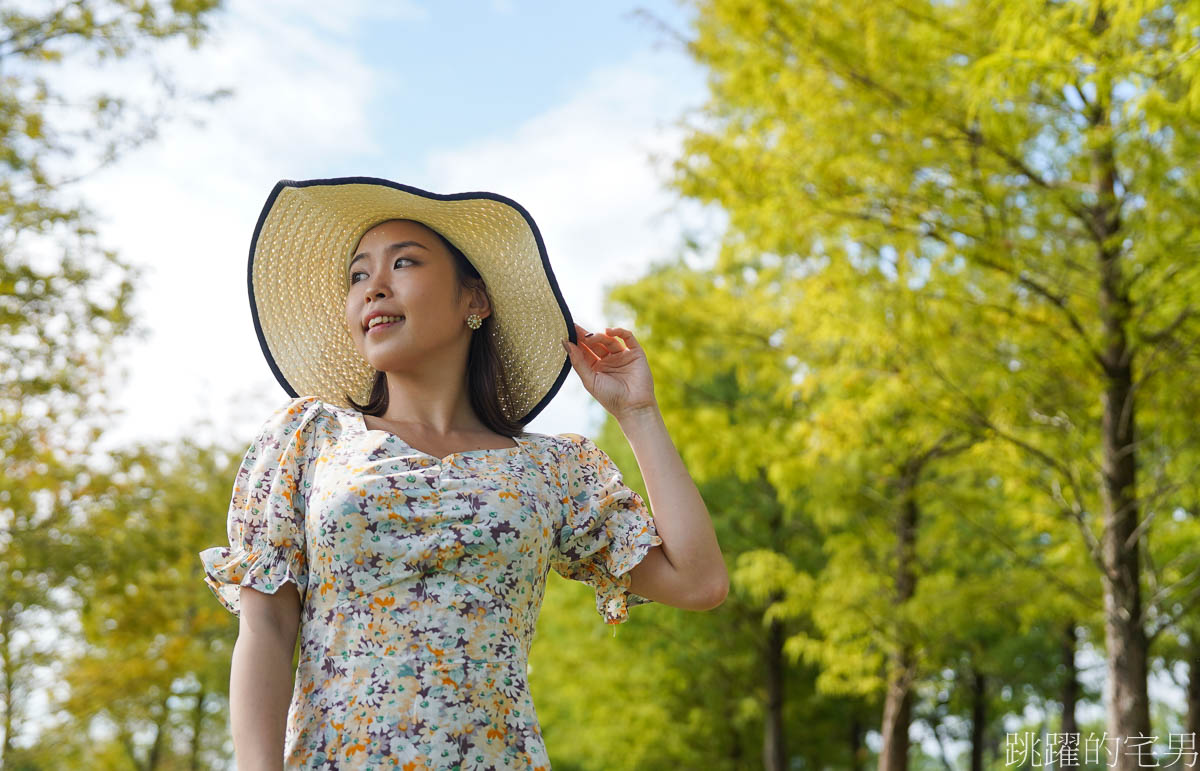 [壽豐景點]花蓮落羽松秘境「文忠生態養殖場」就在星巴克花蓮理想門市旁，水池被落羽松圍繞，根本就是全台最美釣魚池