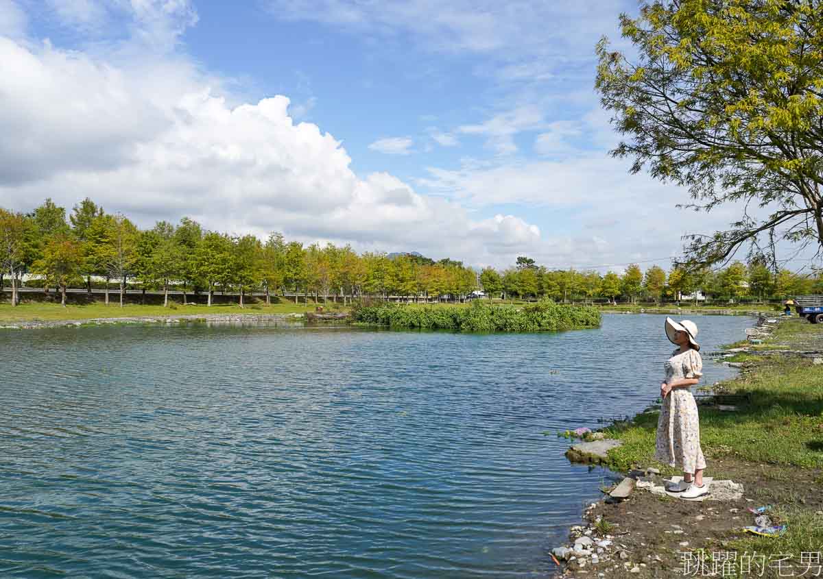 [壽豐景點]花蓮落羽松秘境「文忠生態養殖場」就在星巴克花蓮理想門市旁，水池被落羽松圍繞，根本就是全台最美釣魚池