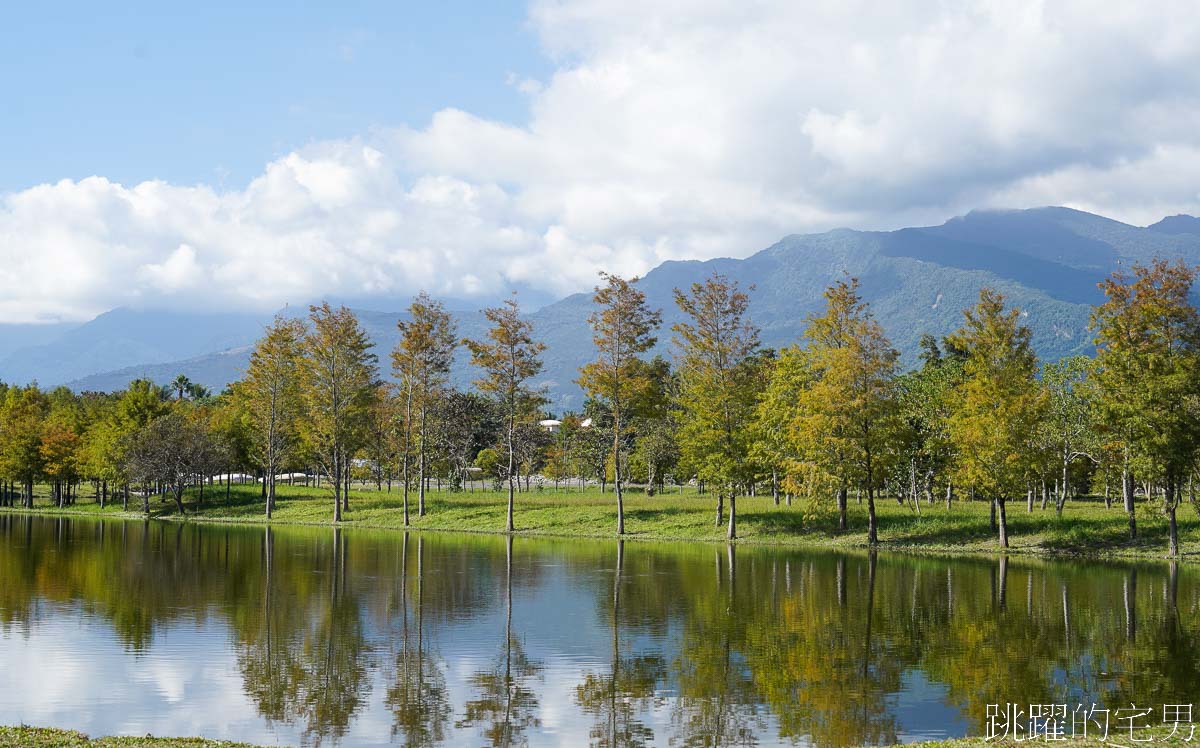 夢幻星巴克又一家「星巴克花蓮理想門市」，絕美湖景環繞著落羽松，期待四季不一樣的美