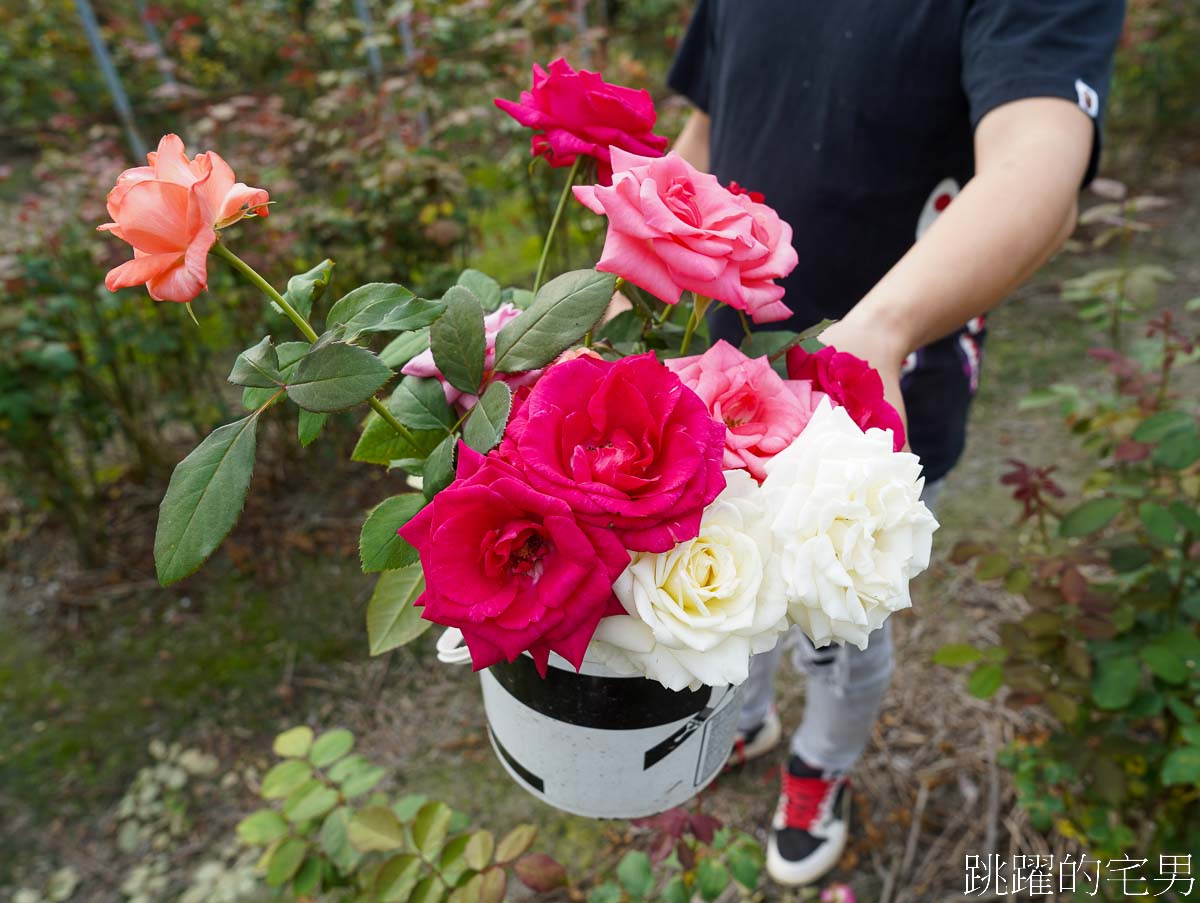 [壽豐咖啡廳]花田小路-觀光花園自採玫瑰花只要10元!  超狂水果鬆餅，滿滿水果就問鬆餅在哪裡，雲山水咖啡廳