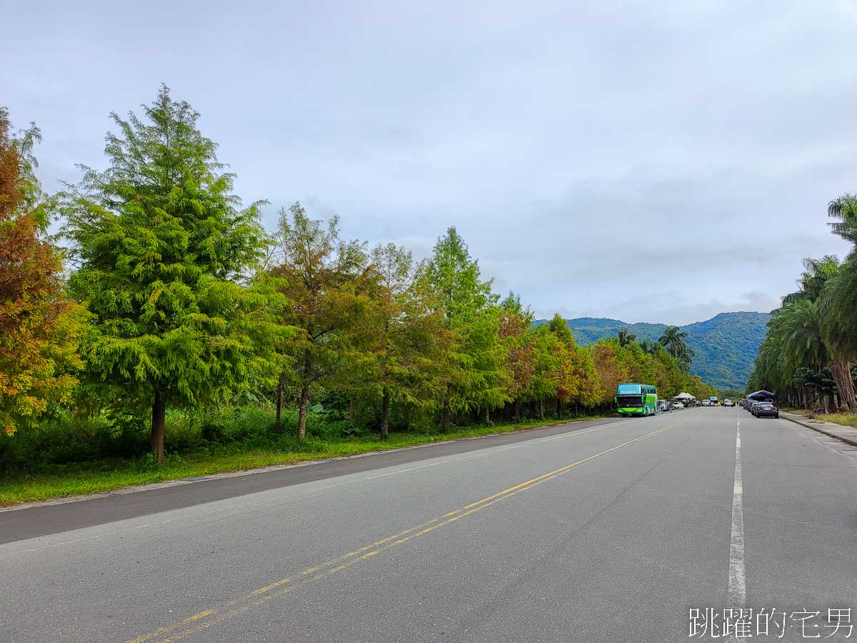 [壽豐咖啡廳]花田小路-觀光花園自採玫瑰花只要10元!  超狂水果鬆餅，滿滿水果就問鬆餅在哪裡，雲山水咖啡廳