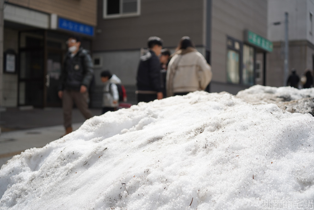 [小樽一日遊] 小樽運河、小樽堺町通商店街，北菓樓泡芙也太好吃啦、letao小樽洋菓子舖