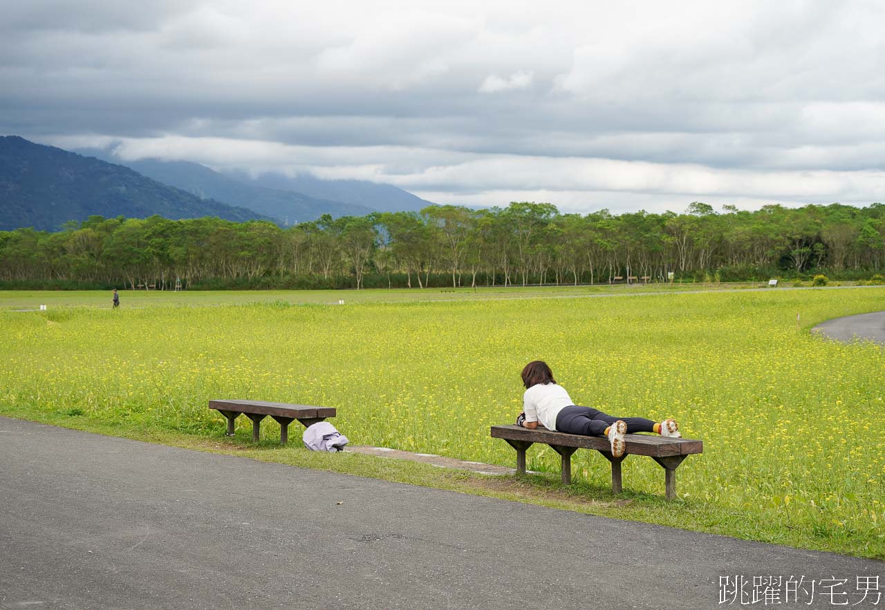 [花蓮光復一日遊 ]大農大富平地森林園區，自強外役監獄也能喝咖啡，來監獄喝咖啡是什麼樣的體驗? 還能買青菜回去吃，春季欣賞油菜花美景