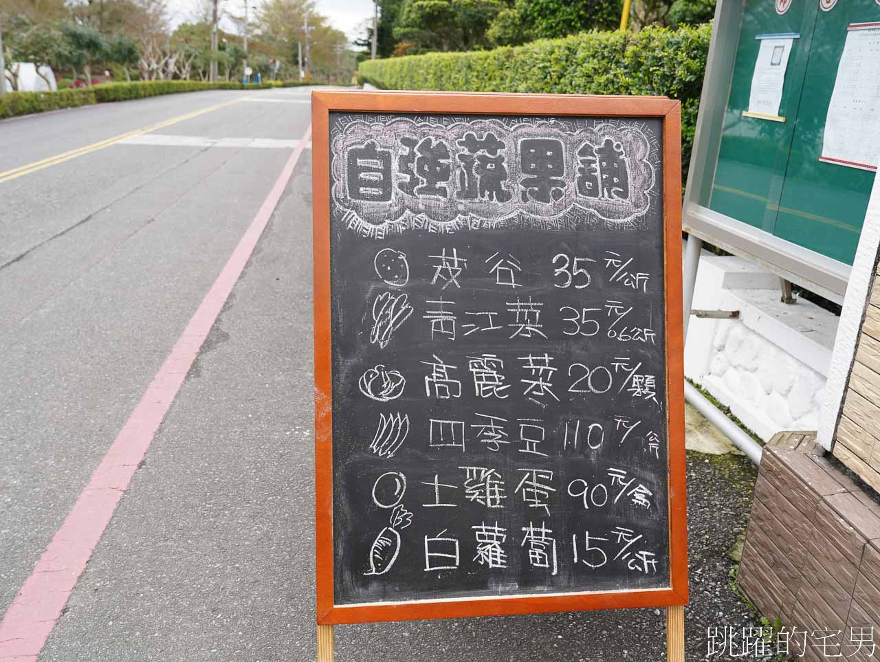 [花蓮光復一日遊 ]大農大富平地森林園區，自強外役監獄也能喝咖啡，來監獄喝咖啡是什麼樣的體驗? 還能買青菜回去吃，春季欣賞油菜花美景