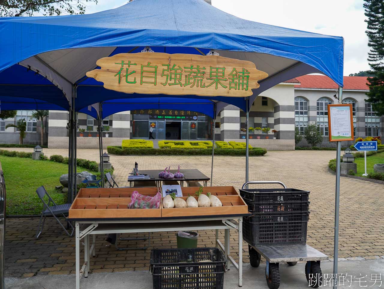 [花蓮光復一日遊 ]大農大富平地森林園區，自強外役監獄也能喝咖啡，來監獄喝咖啡是什麼樣的體驗? 還能買青菜回去吃，春季欣賞油菜花美景