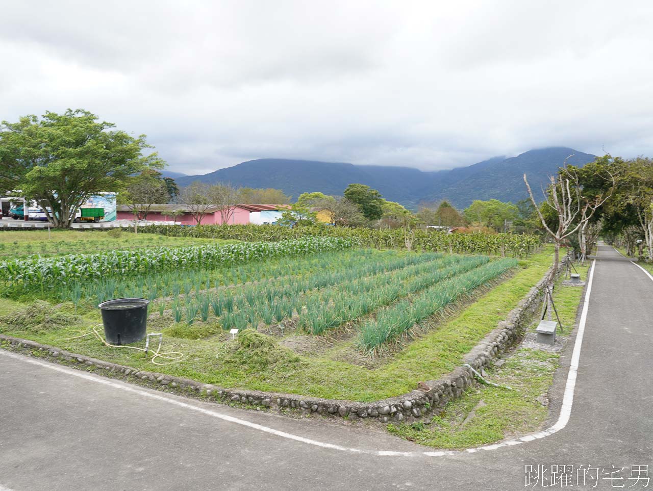 [花蓮光復一日遊 ]大農大富平地森林園區，自強外役監獄也能喝咖啡，來監獄喝咖啡是什麼樣的體驗? 還能買青菜回去吃，春季欣賞油菜花美景