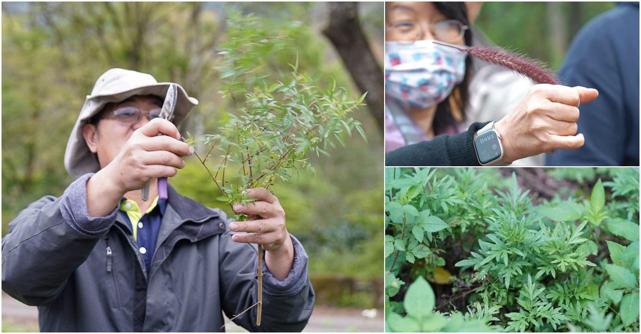 花蓮可以這樣玩，騎電輔車享受大自然，花園客家菜、體驗烤麵包下午茶，原來台灣史前最大的玉器製造工坊在花蓮，花蓮行程推薦