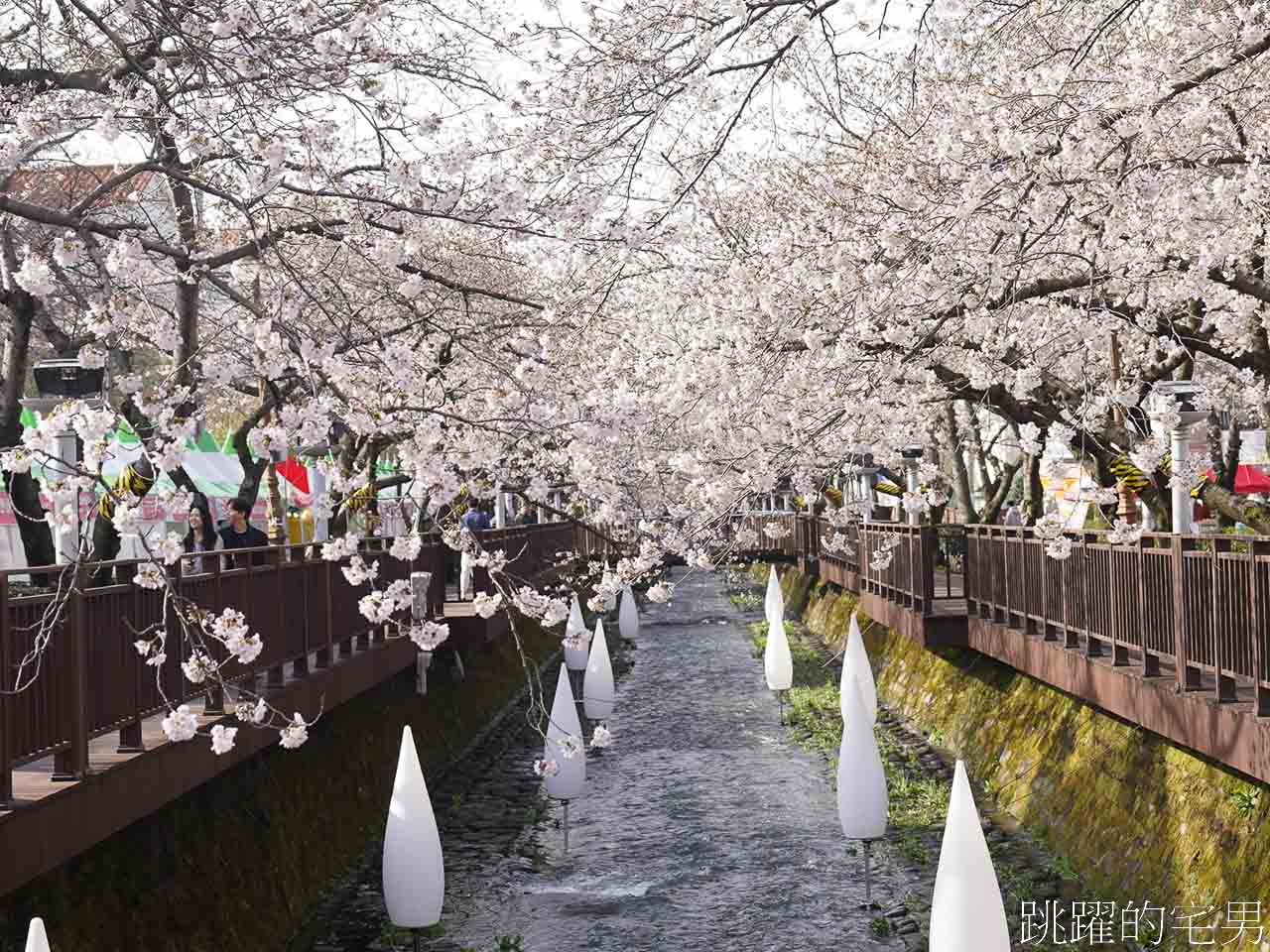 2024釜山鎮海櫻花懶人包-連韓國人都要來的櫻花景點，釜山包車一日遊、慶和火車站、余佐川櫻花道、鎮海塔