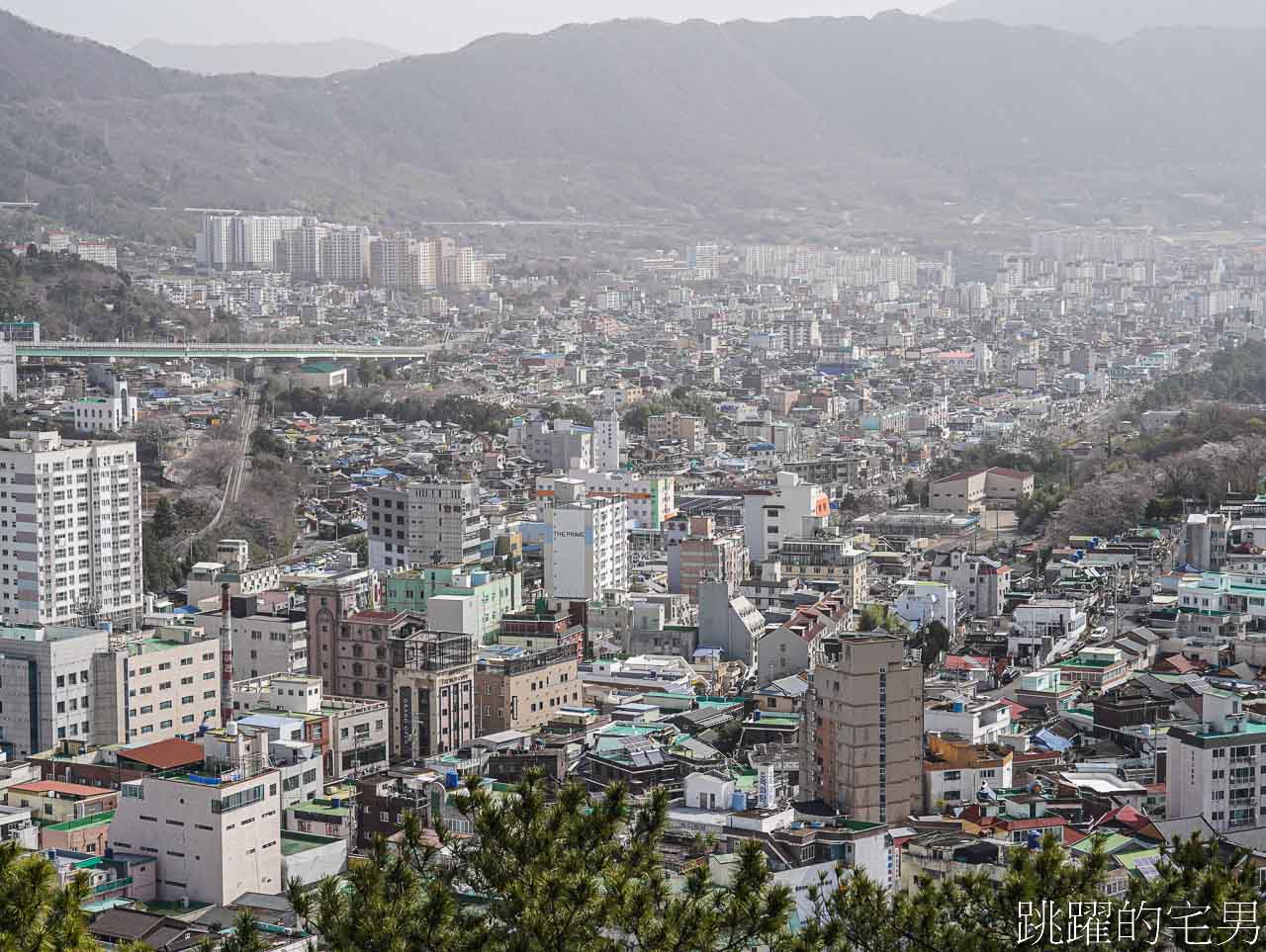 2024釜山鎮海櫻花懶人包-連韓國人都要來的櫻花景點，釜山包車一日遊、慶和火車站、余佐川櫻花道、鎮海塔