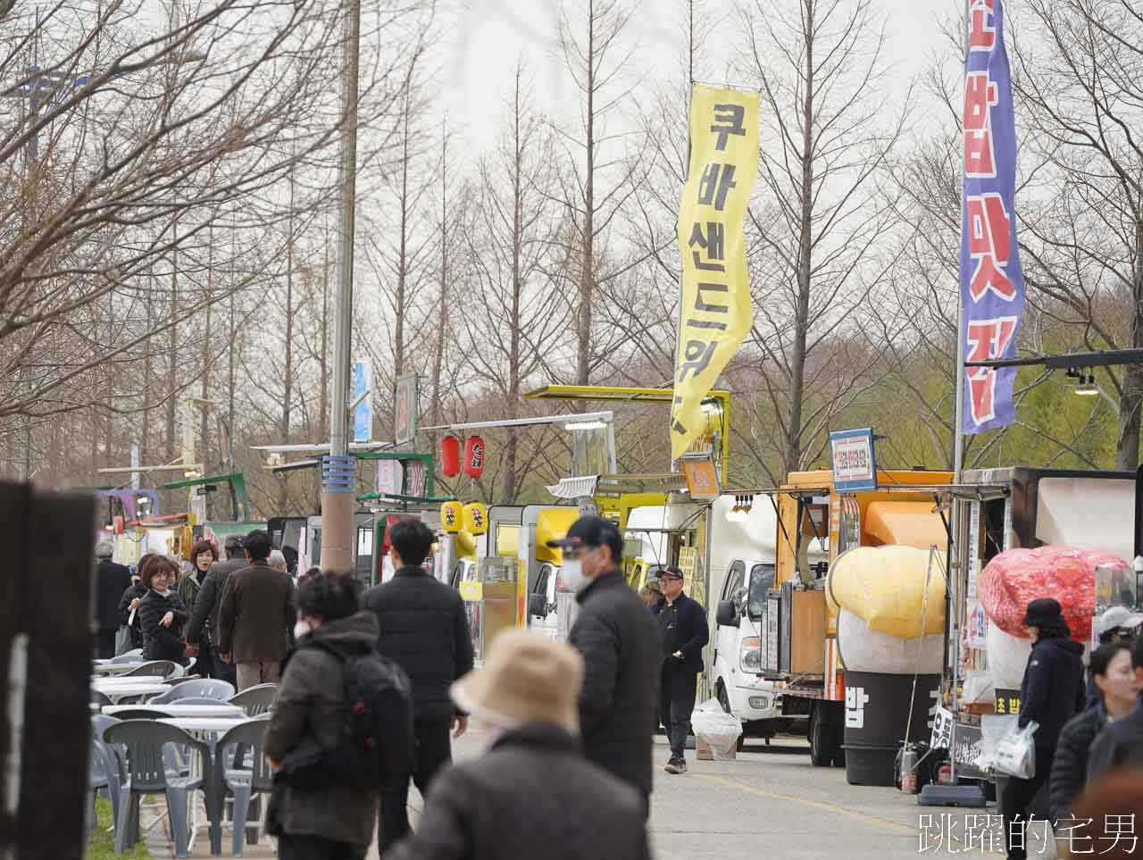 [韓國]大渚生態公園釜山30浬櫻花路，漫步看不到盡頭絕美櫻花隧道，巨大片油菜花田，釜山親子景點推薦