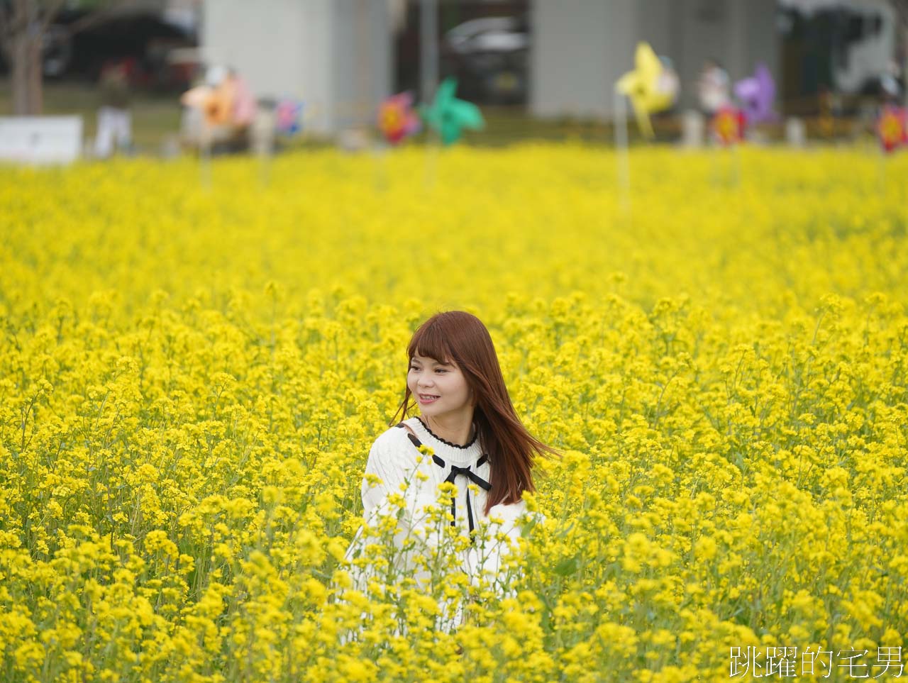 [韓國]大渚生態公園釜山30浬櫻花路，漫步看不到盡頭絕美櫻花隧道，巨大片油菜花田，釜山親子景點推薦