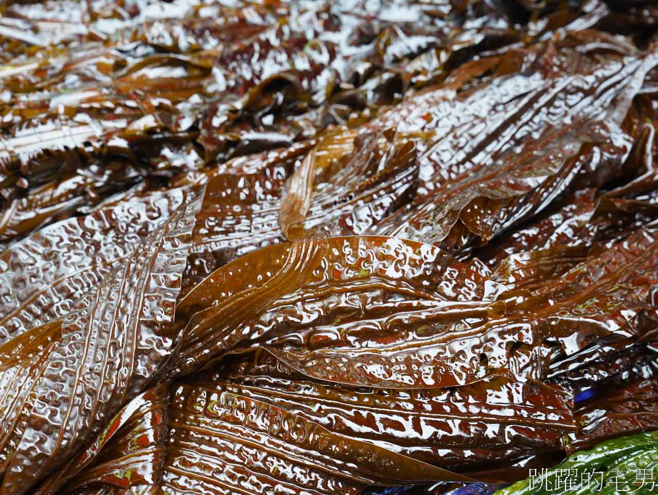 [韓國釜山美食]新鮮雪蟹싱싱대게-逛韓國傳統市場現蒸長腳蟹，鮮度100分肉超甜! 拒絕不了的螃蟹炒飯! 釜山機張站美食