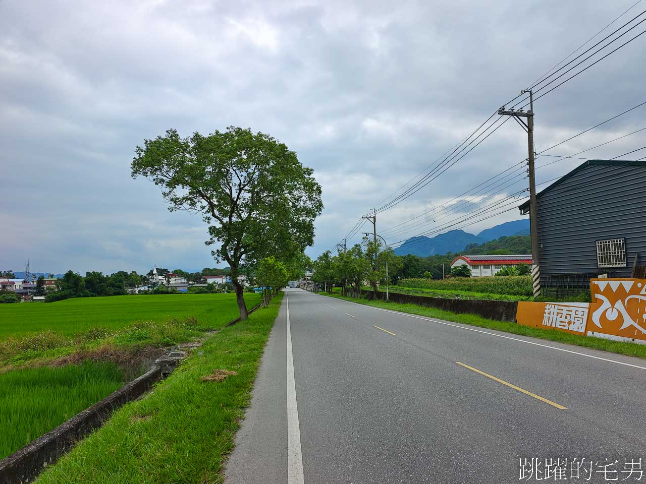 [193縣道咖啡廳]耕香園xSERA咖啡-玉里咖啡廳，親人可愛貓貓，使用當地食材，超厚肉排饅頭堡真心推薦，耕香園手作文創坊