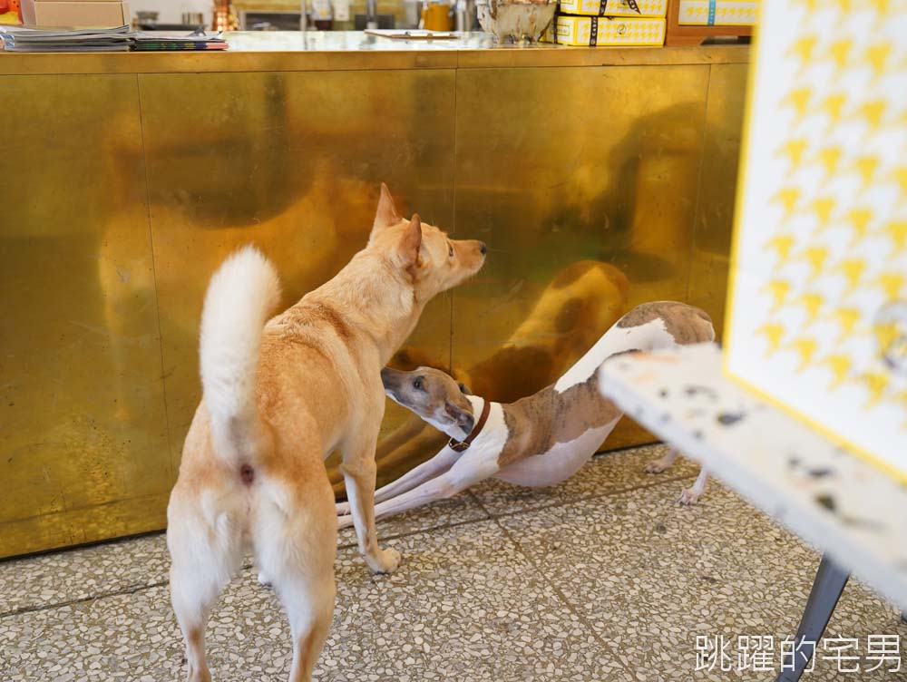 [新城咖啡廳]Cabret Cafe-花蓮好吃甜點下午茶，13種口味費南雪，還有狗狗零食，寵物友善咖啡廳