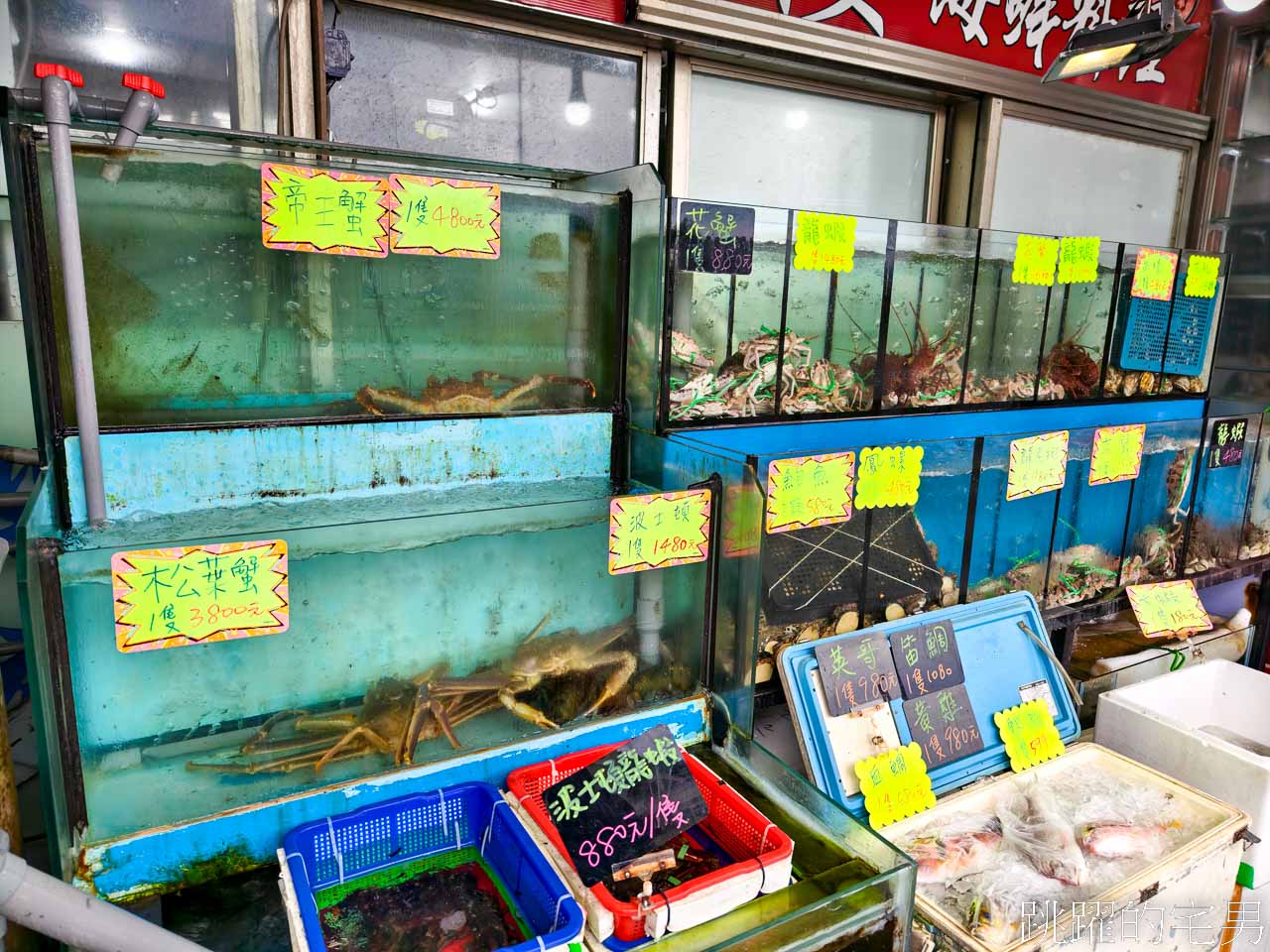 [萬里美食]鮮滿樓海鮮料理-野柳公園女王頭旁海鮮餐廳，合菜每人600元就能吃到活龍蝦、龍虎斑，魯肉飯吃到飽、C/P值超高，生菜蝦鬆也太好吃