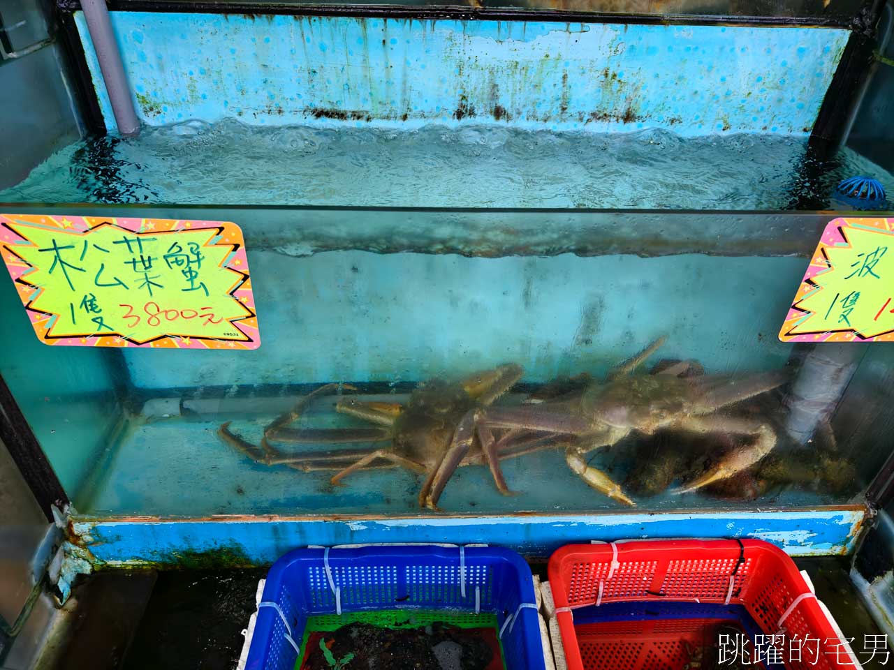 [萬里美食]鮮滿樓海鮮料理-野柳公園女王頭旁海鮮餐廳，合菜每人600元就能吃到活龍蝦、龍虎斑，魯肉飯吃到飽、C/P值超高，生菜蝦鬆也太好吃