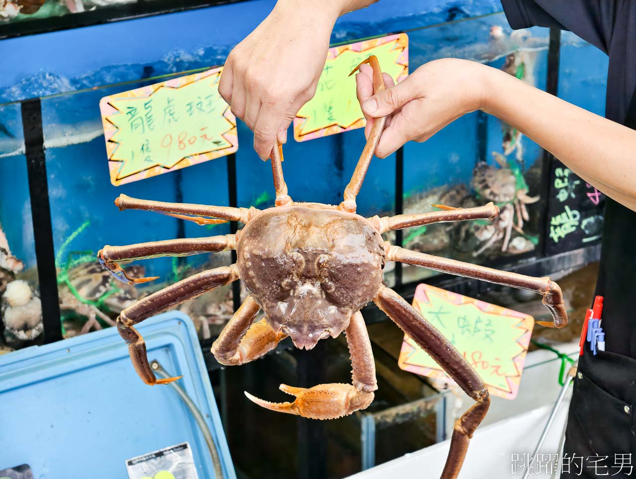 [萬里美食]鮮滿樓海鮮料理-野柳公園女王頭旁海鮮餐廳，合菜每人600元就能吃到活龍蝦、龍虎斑，魯肉飯吃到飽、C/P值超高，生菜蝦鬆也太好吃