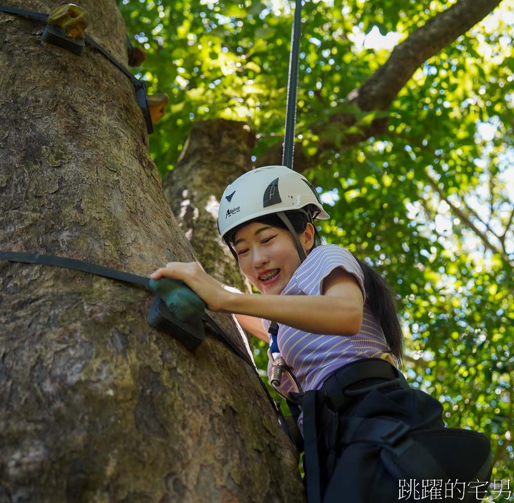 [花蓮景點體驗活動]高山森林基地-1個人即成團，輕鬆玩爬樹體驗玩到瘋，欣賞絕美太平洋海天一色，花蓮親子景點推薦