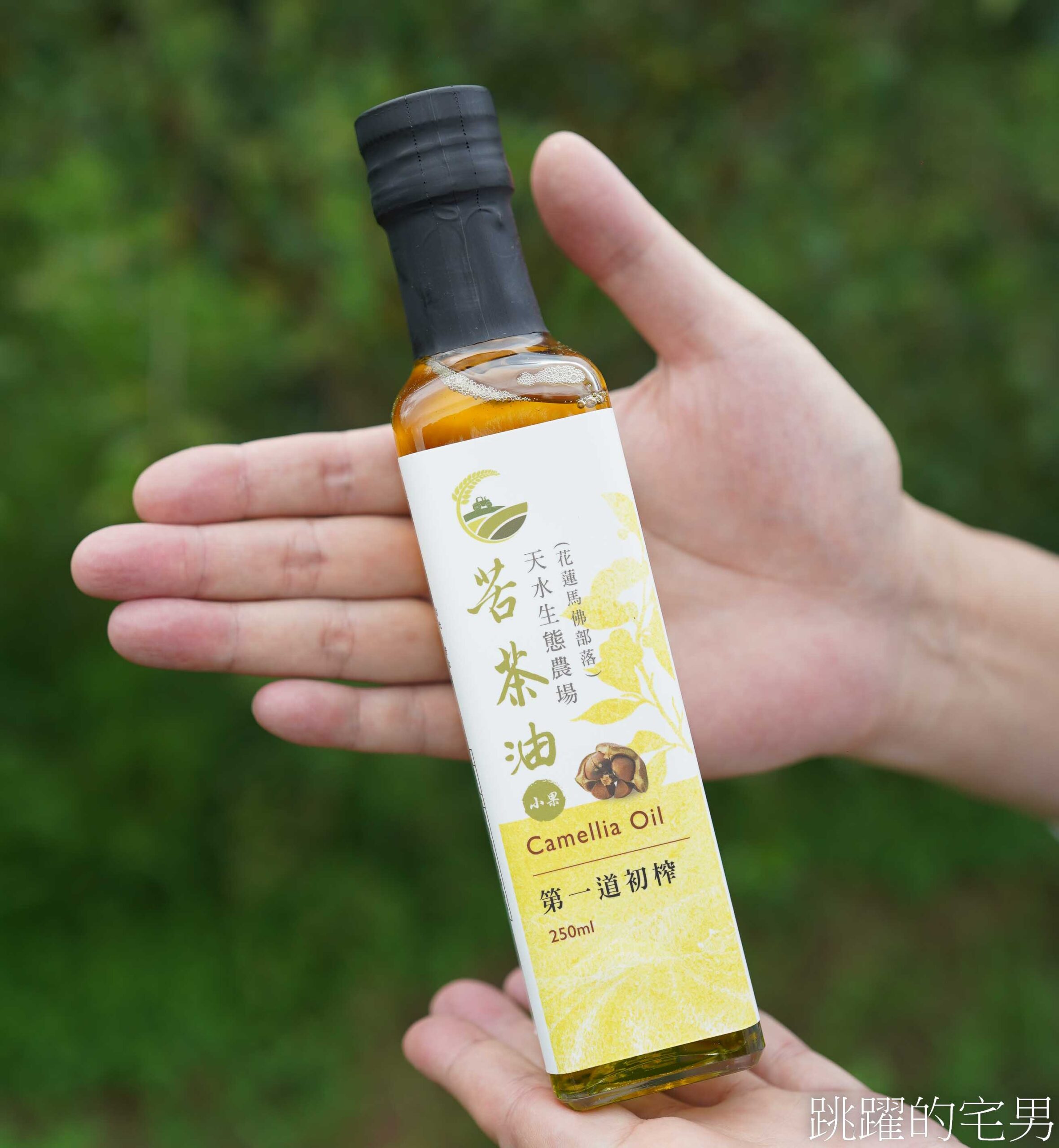 [台灣苦茶油推薦]天水生態農場-35位小農自然友善種植台灣原生種苦茶樹，2024金評獎茶油組優選，ITI國際風味評鑑3星，有機苦茶油、產履小果苦茶油