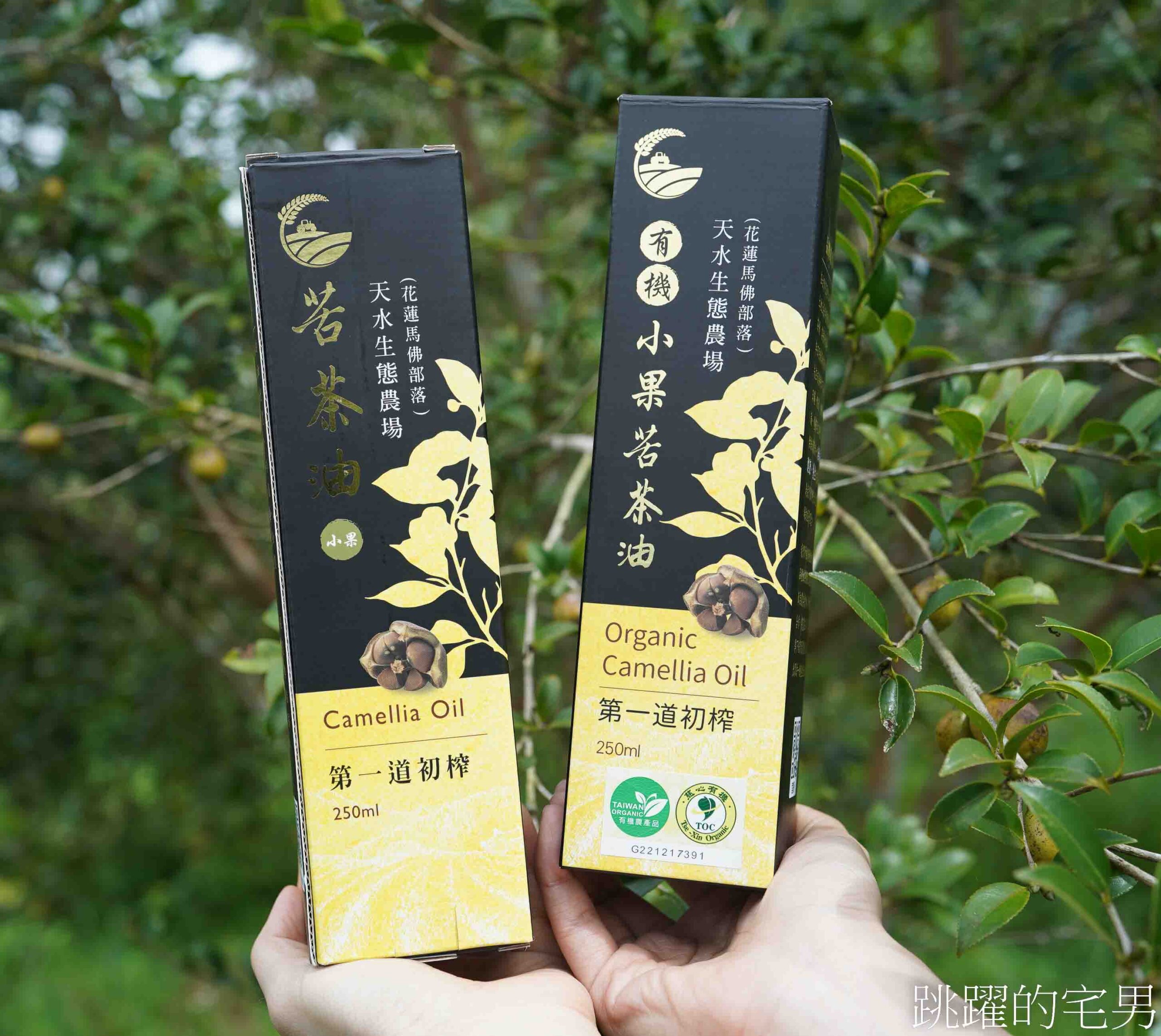 [台灣苦茶油推薦]天水生態農場-35位小農自然友善種植台灣原生種苦茶樹，2024金評獎茶油組優選，ITI國際風味評鑑3星，有機苦茶油、產履小果苦茶油