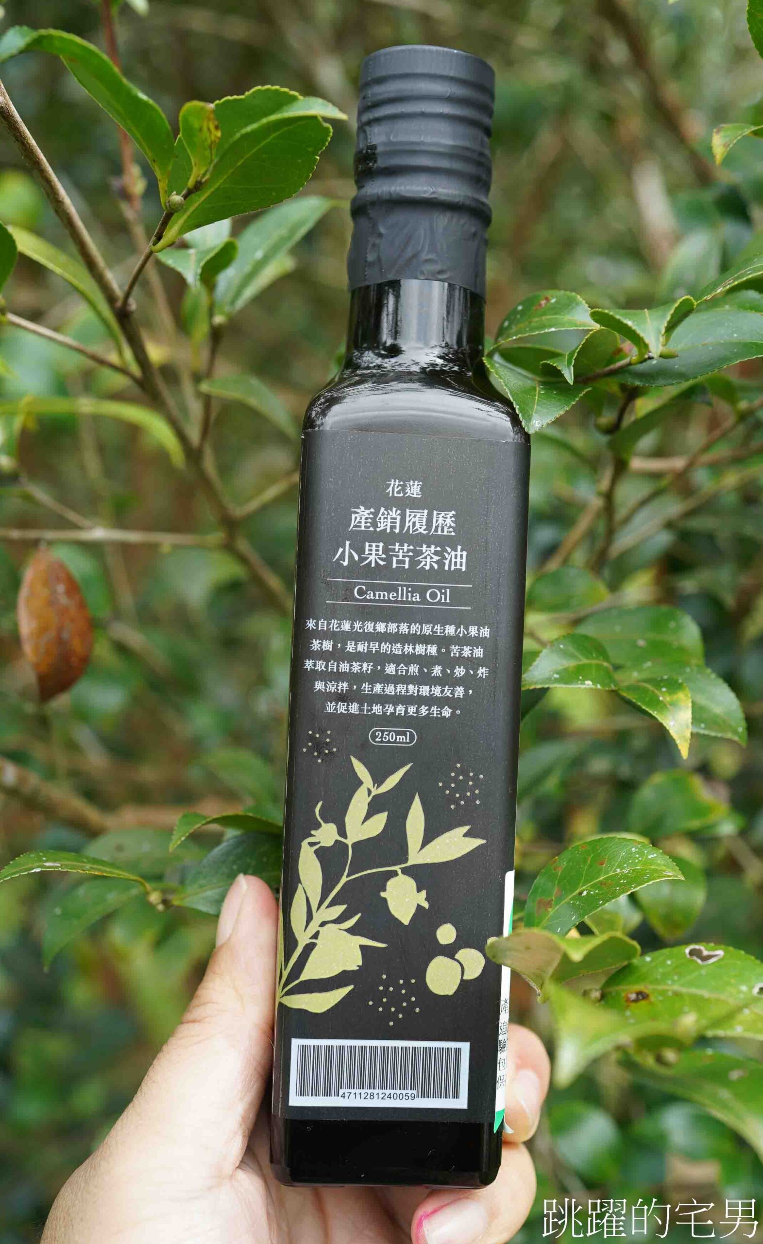 [台灣苦茶油推薦]天水生態農場-35位小農自然友善種植台灣原生種苦茶樹，2024金評獎茶油組優選，ITI國際風味評鑑3星，有機苦茶油、產履小果苦茶油