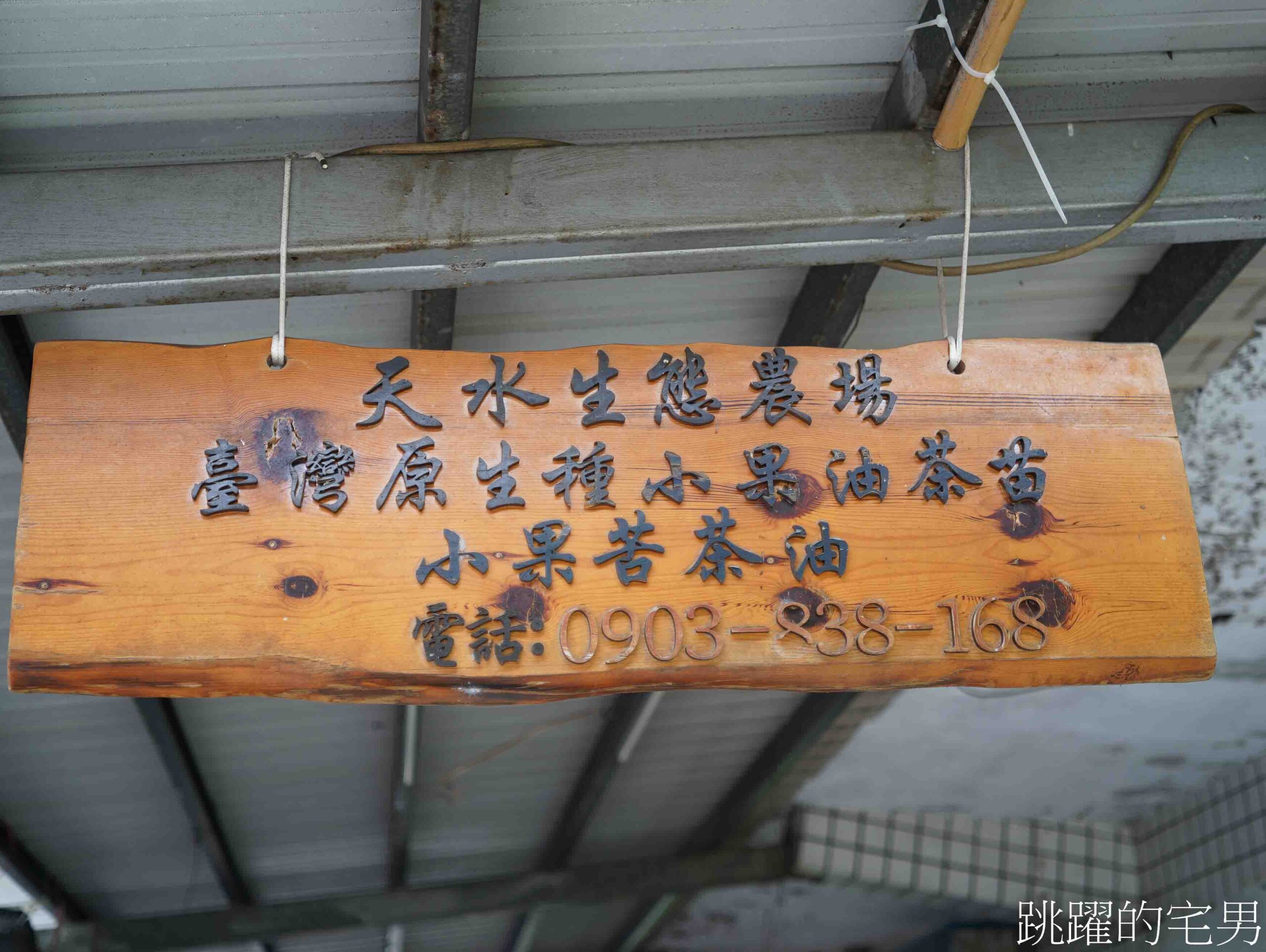[台灣苦茶油推薦]天水生態農場-35位小農自然友善種植台灣原生種苦茶樹，2024金評獎茶油組優選，ITI國際風味評鑑3星，有機苦茶油、產履小果苦茶油